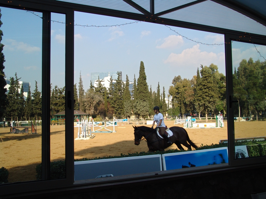 HORSE RIDING (HORSE RIDING LESSONS)