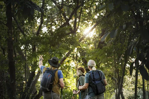 ΠΑΡΑΤΗΡΗΣΗ ΠΟΥΛΙΩΝ ΣΤΗ ΘΡΑΚΗ