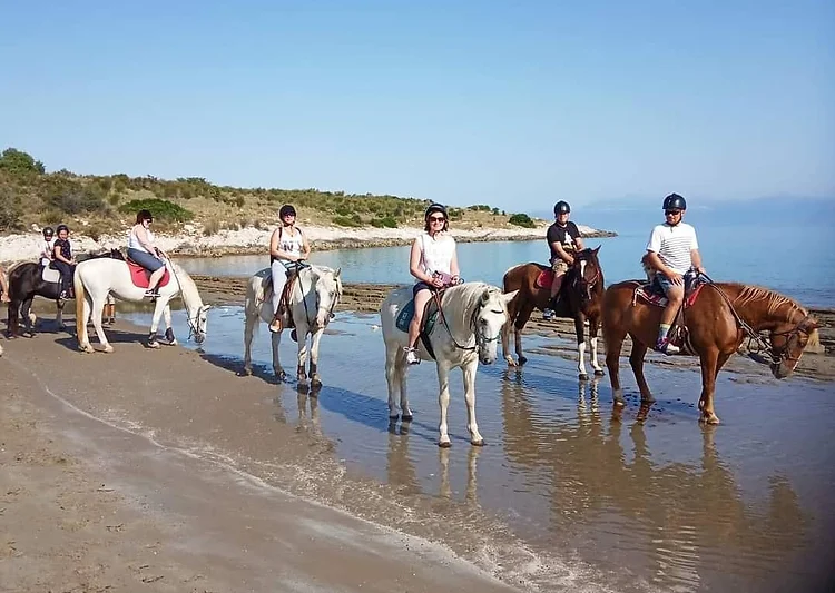 HORSE RIDING TOURS