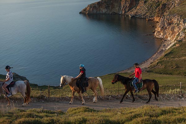 HORSEBACK RIDING