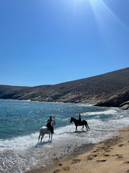 HORSEBACK RIDING