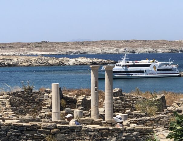 FROM NAXOS TO DELOS & MYKONOS CRUISE