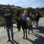 DONKEY RIDING. AYIA NAPA