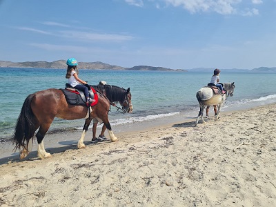 Horseback riding for adults & kids or Horseback riding lessons.