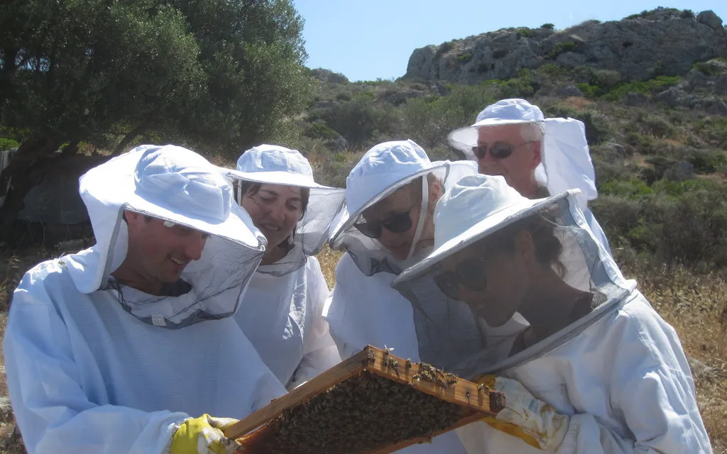 HONEY BEE EXCURSION